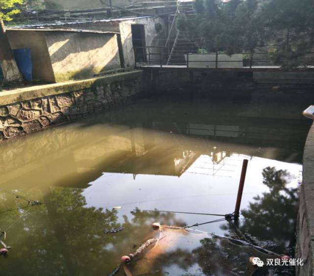 長江環(huán)保集團(tuán)：當(dāng)好“水管家” 助力六安開啟治水新局面