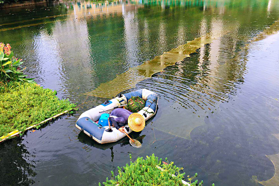 廣東省深圳市辛養(yǎng)魚塘-<a href=http://www.fzytsz.cn target=_blank class=infotextkey>水生態(tài)修復</a>示范項目
