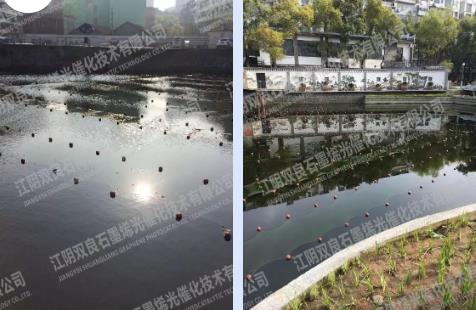 洋水河：因 “絮凝治污 表面整改”被中央環(huán)保督察回頭看”批評(píng) 現(xiàn)在實(shí)現(xiàn)系統(tǒng)治理