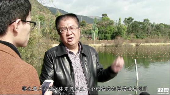 洱源西湖<a href=http://www.fzytsz.cn target=_blank class=infotextkey>水環(huán)境治理</a><a href=http://www.fzytsz.cn/hp/ target=_blank class=infotextkey>湖泊修復(fù)</a>碧水藍(lán)天