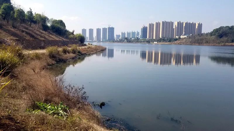 長興湖水<a href=http://www.fzytsz.cn target=_blank class=infotextkey>水環(huán)境治理</a>