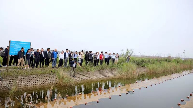 中國(guó)第一大城市飲用水<a href=http://www.fzytsz.cn/yysyd/ target=_blank class=infotextkey>水源地治理</a>技術(shù)突破