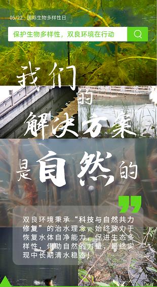 借自然之力,復(fù)綠水青山！