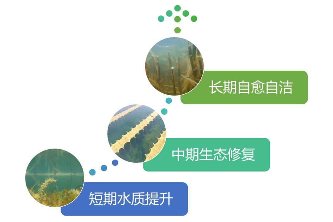 2020<a href=http://www.fzytsz.cn target=_blank class=infotextkey><a href=http://www.fzytsz.cn target=_blank class=infotextkey>雙良</a>環(huán)境</a>春招開啟