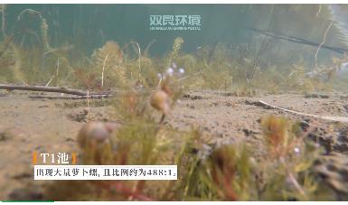 保護(hù)生物多樣性雙良環(huán)境在行動！