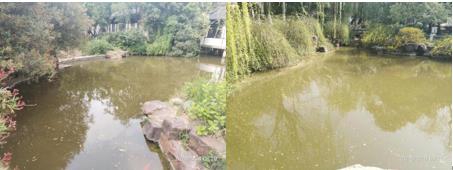 首個生態(tài)文明建設主題公園開園