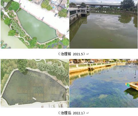 黃山市重點(diǎn)流域國控點(diǎn)浮游生物與水環(huán)境監(jiān)測項目