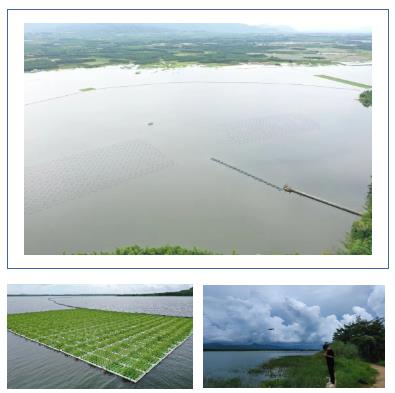 長沙市后湖：徹底消除黑臭，實現(xiàn)“長治久清”