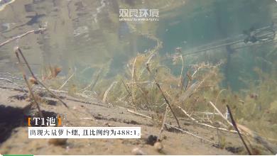 新聞轉載｜河道治理|五管齊下，提升塘西河水環(huán)境質(zhì)量