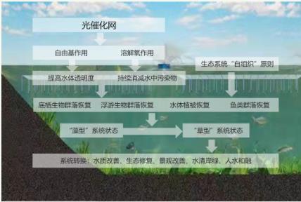 新聞轉(zhuǎn)載｜堅守生態(tài)紅線 當好“環(huán)保管家”