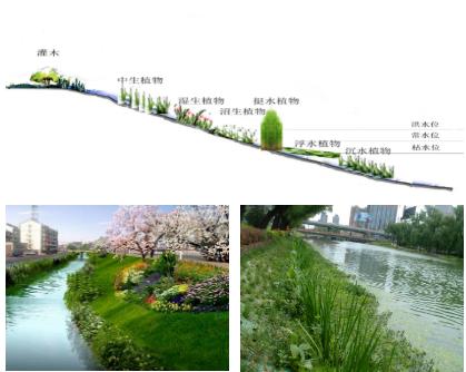 大面積黑臭水體（水塘、水渠、水庫等）特別是養(yǎng)殖廢水，如何在短時間快速進行治理？達標農(nóng)灌水或排放標準？