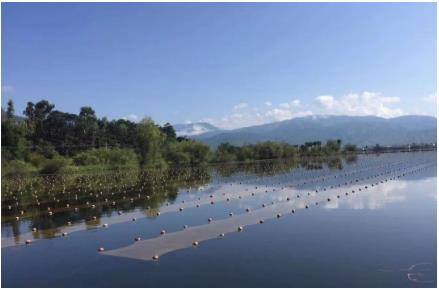 湖北“黑科技”將湖泊水庫污水就地變清流，雙良值得推廣