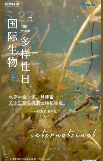 5.22生物多樣性日｜共護(hù)碧水清波，共建和諧生態(tài)！