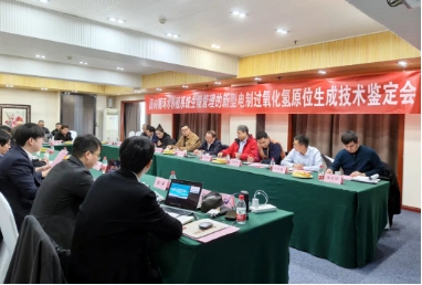 國(guó)際先進(jìn)！雙良環(huán)境這項(xiàng)首創(chuàng)技術(shù)通過(guò)專(zhuān)家權(quán)威鑒定